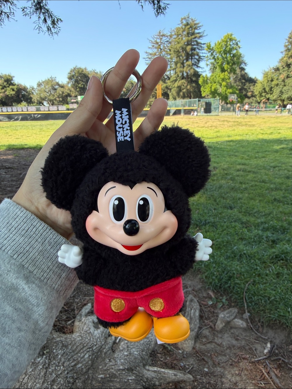 Disney Mickey Mouse and family (MICKEY)